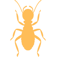 diagnostic termites icon