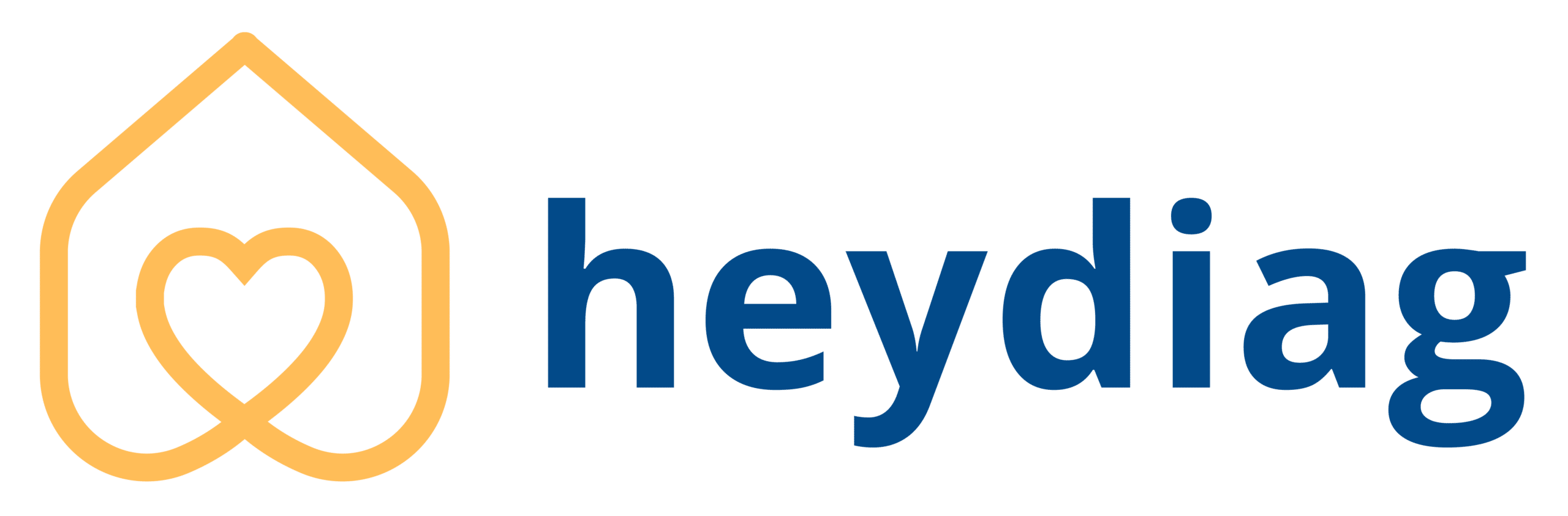 heydiag logo png