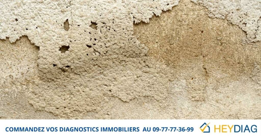 Diagnostic Plomb pour Location