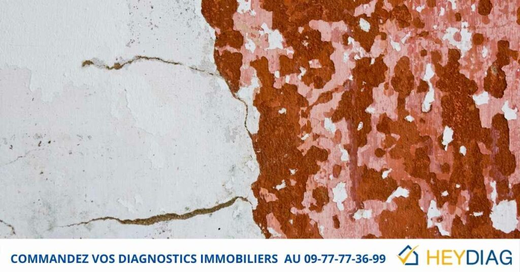 Diagnostic immobilier Plomb Vente