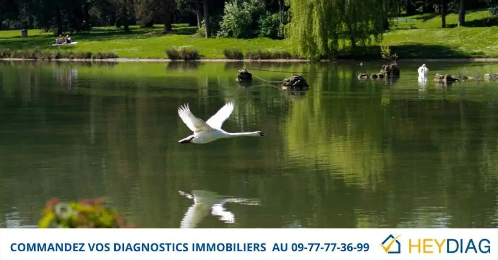 Diagnostics Immobiliers Paris 12 75012