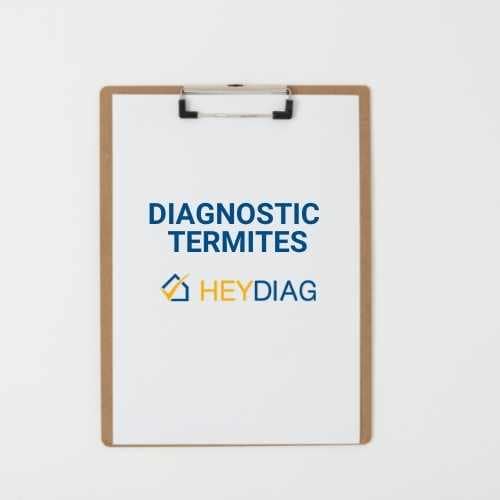 diagnostic termites paris