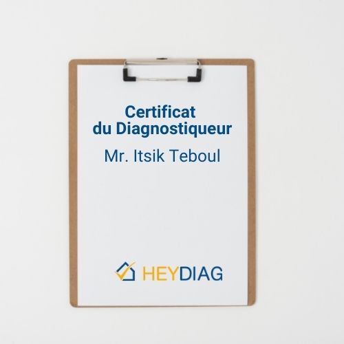 Certificat de diagnostiqueur Itsik Teboul